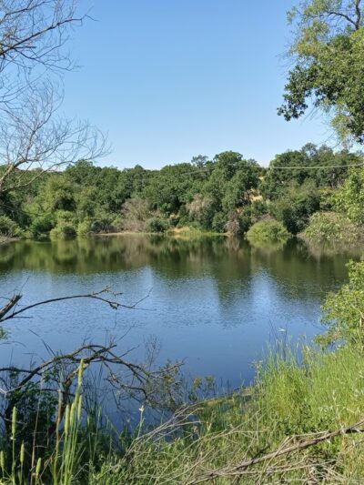 Arastradero Preserve Vista Point - Palo Alto, CA