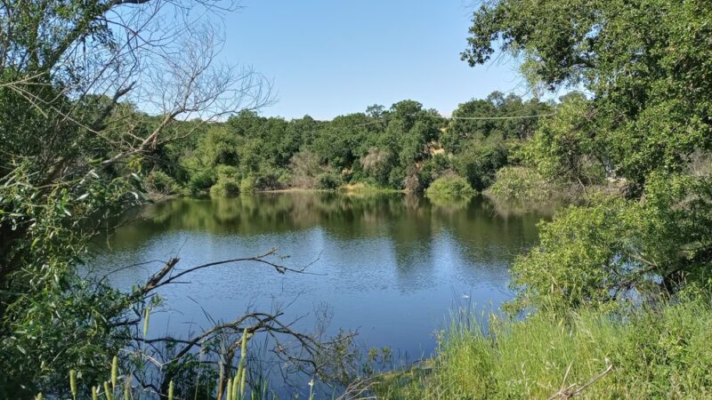 Arastradero Preserve Vista Point - Palo Alto, CA