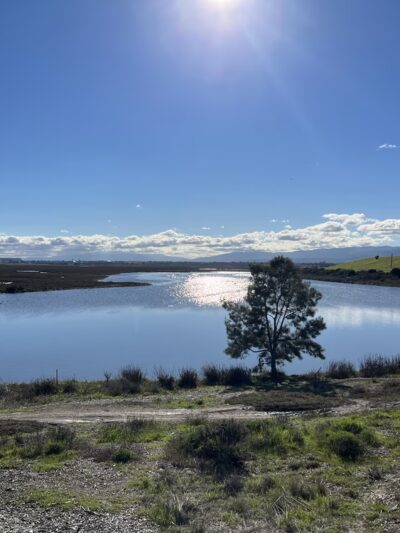 Byxbee Park - Palo Alto, CA