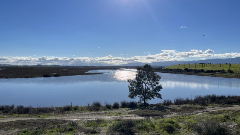 Byxbee Park - Palo Alto, CA