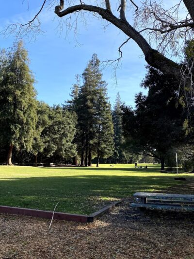 Cornelis Bol Park - Palo Alto, CA