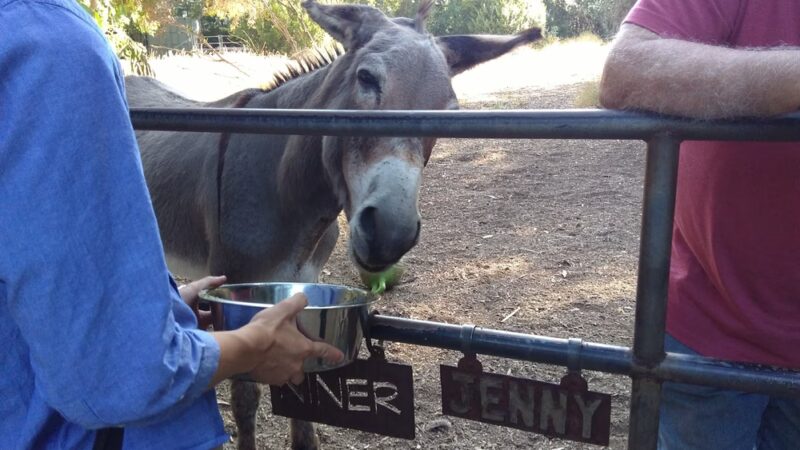 Cornelis Bol Park - Palo Alto, CA