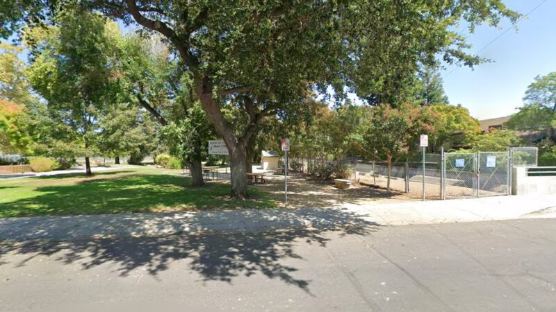 Hoover Dog Park - Palo Alto, CA