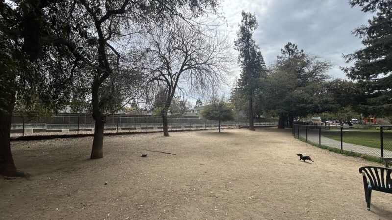 Hoover Dog Park - Palo Alto, CA