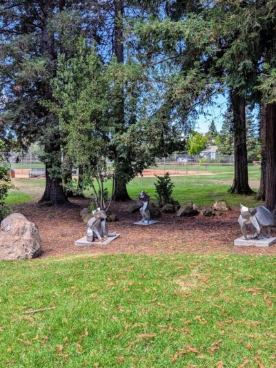 Hoover Park - Palo Alto, CA