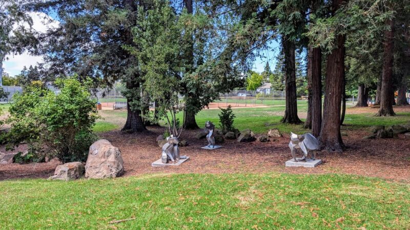 Hoover Park - Palo Alto, CA