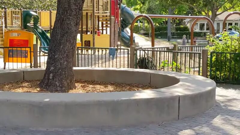 Johnson Park - Palo Alto, CA