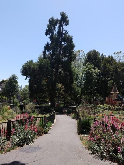 Johnson Park - Palo Alto, CA