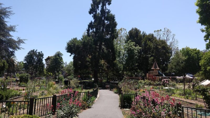 Johnson Park - Palo Alto, CA