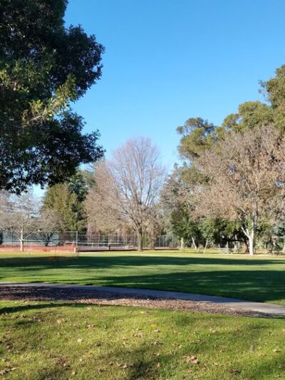 Peers Park - Palo Alto, CA