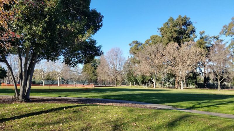 Peers Park - Palo Alto, CA
