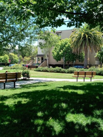 Sarah Wallis Park - Palo Alto, CA