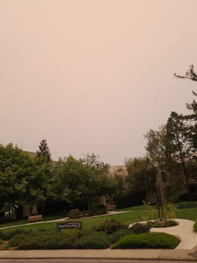 Sarah Wallis Park - Palo Alto, CA