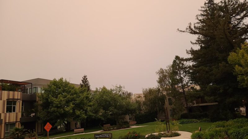 Sarah Wallis Park - Palo Alto, CA