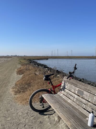 The Bowl - Palo Alto, CA