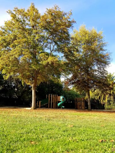 Werry Park - Palo Alto, CA