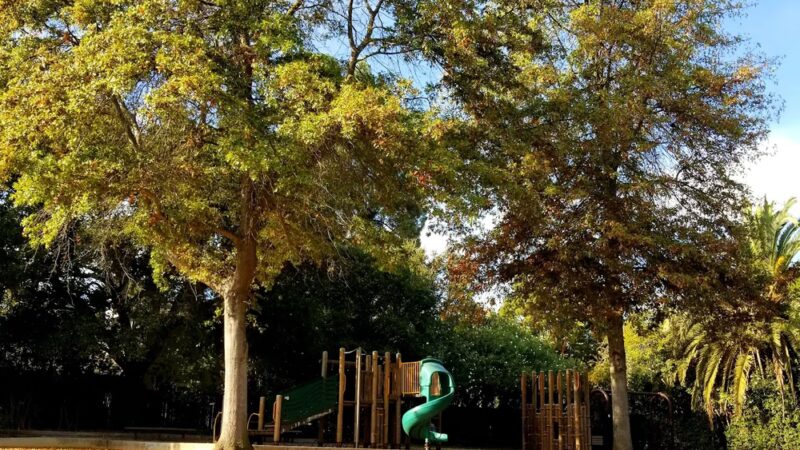 Werry Park - Palo Alto, CA