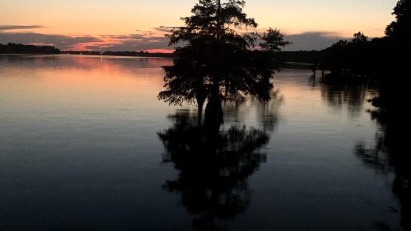 Pangburn Park - Pangburn, AR