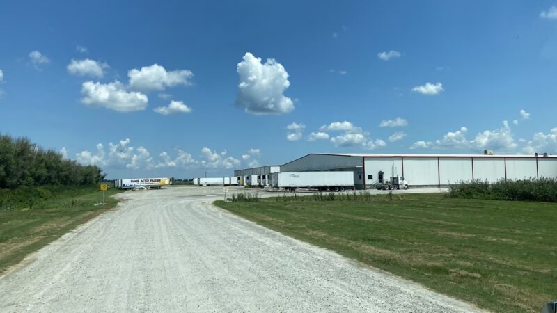 Rose Acre Farms Inc - Hyde County - Pantego, NC