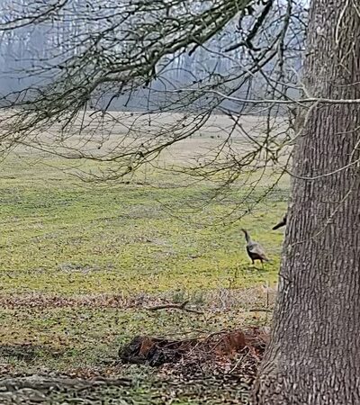 Rose Acre Farms Inc - Hyde County - Pantego, NC