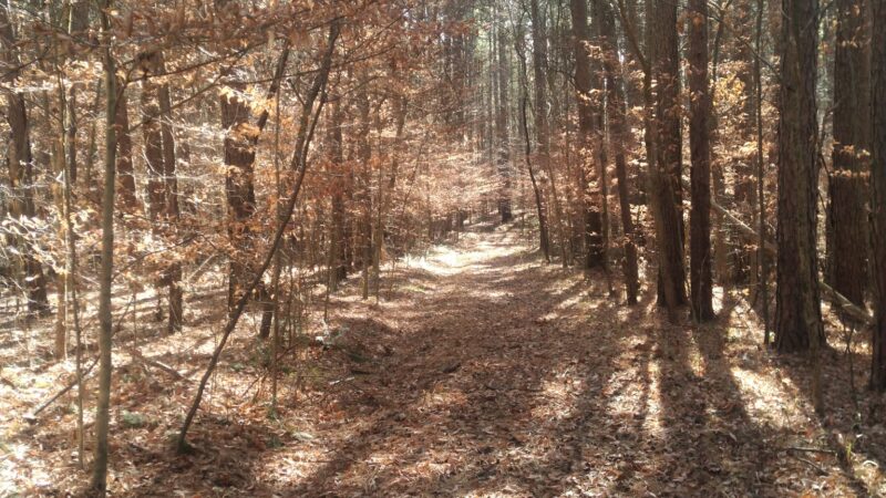 Youngs Creek Trailhead - Paoli, IN