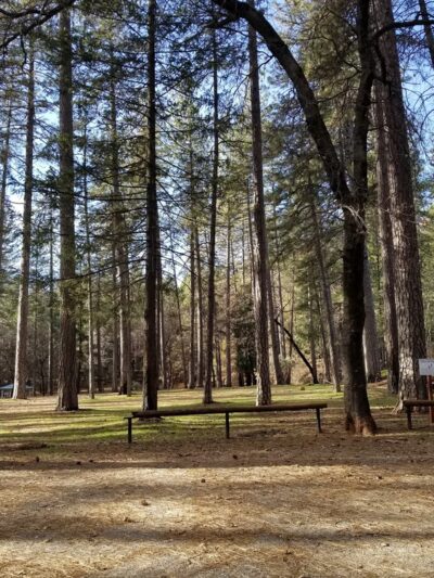 Paradise Dog Park - Paradise, CA