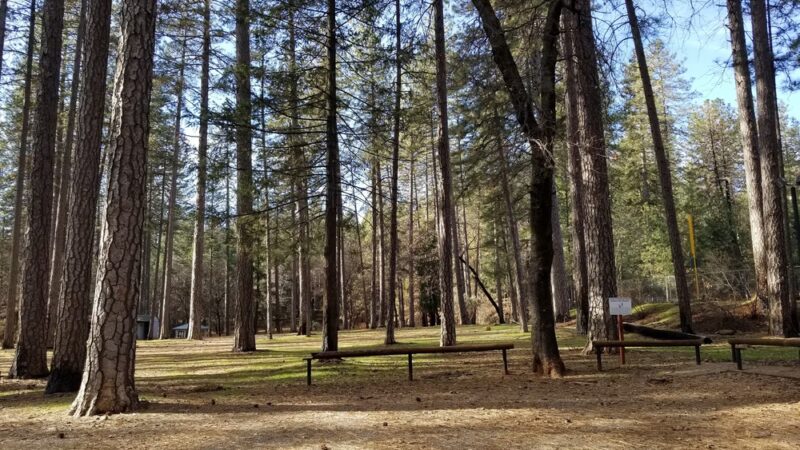 Paradise Dog Park - Paradise, CA