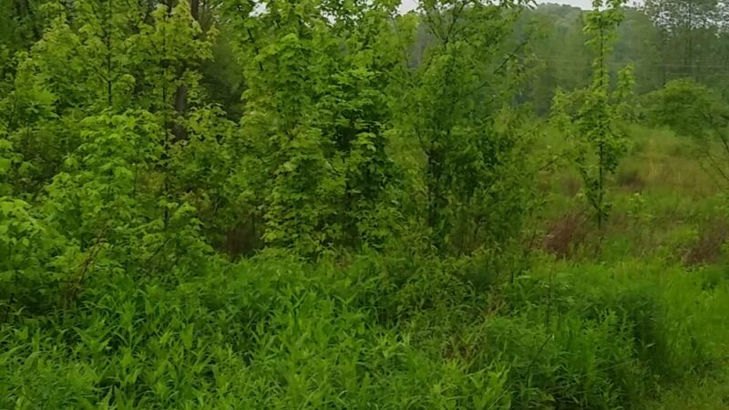 Burkhart Creek County Park - Paragon, IN