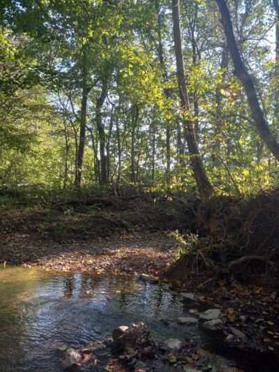 Burkhart Creek County Park - Paragon, IN