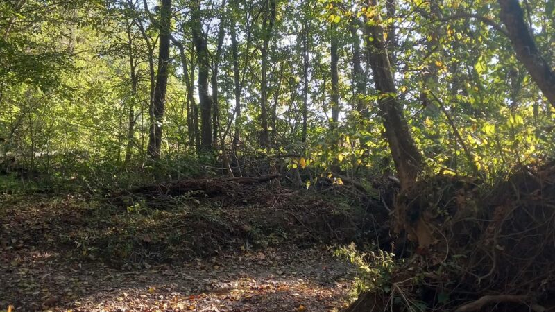 Burkhart Creek County Park - Paragon, IN