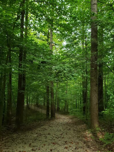 Burkhart Creek County Park - Paragon, IN