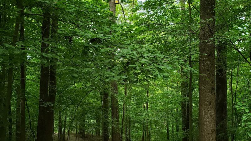 Burkhart Creek County Park - Paragon, IN