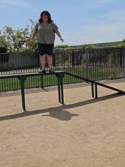 Hollydale Dog Park - Paramount, CA