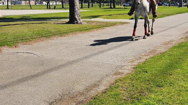 Hollydale Dog Park - Paramount, CA