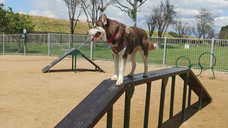 Hollydale Dog Park - Paramount, CA