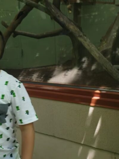 Bergen County Zoo - Paramus, NJ