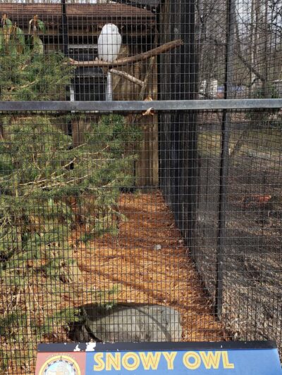 Bergen County Zoo - Paramus, NJ