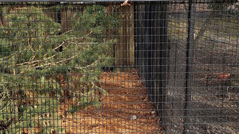 Bergen County Zoo - Paramus, NJ