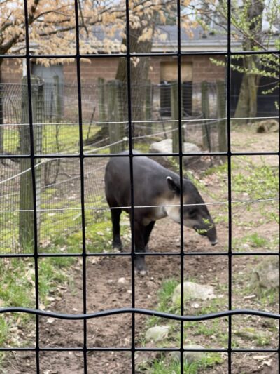 Bergen County Zoo - Paramus, NJ