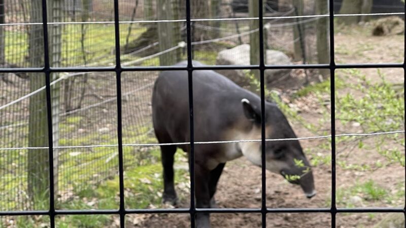 Bergen County Zoo - Paramus, NJ