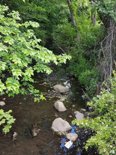 Besen Park - Paramus, NJ