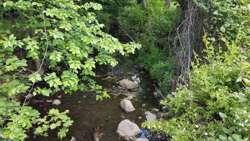 Besen Park - Paramus, NJ