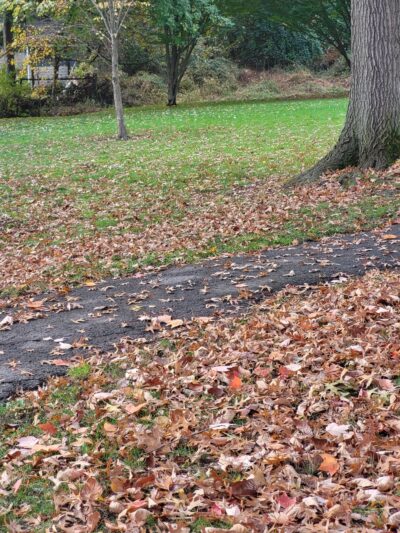 Besen Park - Paramus, NJ