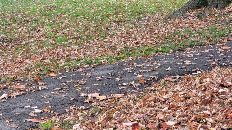 Besen Park - Paramus, NJ