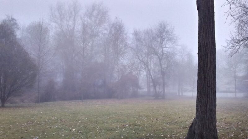 Besen Park - Paramus, NJ