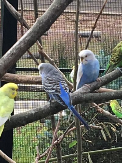 Friends of the Bergen County Zoo - Paramus, NJ