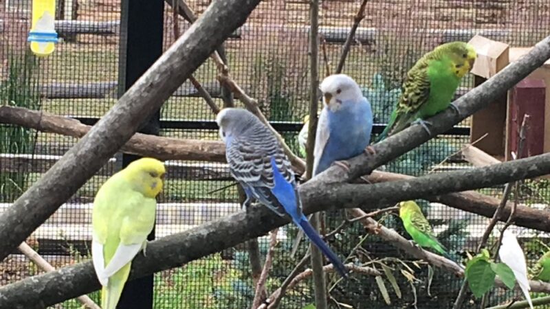 Friends of the Bergen County Zoo - Paramus, NJ