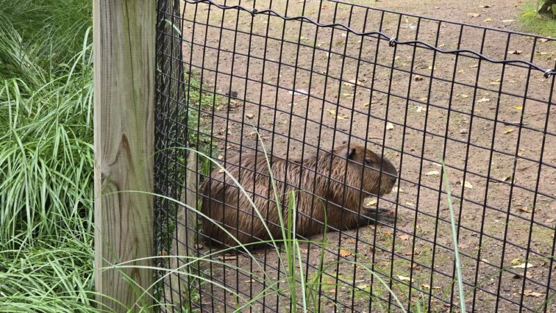 Friends of the Bergen County Zoo - Paramus, NJ