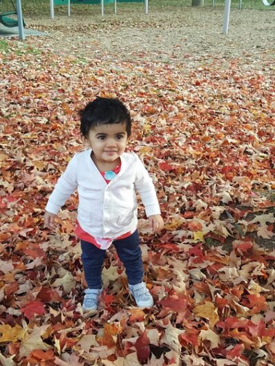 Madison Park - Paramus, NJ