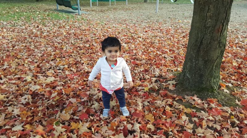 Madison Park - Paramus, NJ